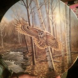Collector Owl Theme Plates Set Of 6