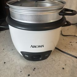 Food Steamer/ Rice Cooker