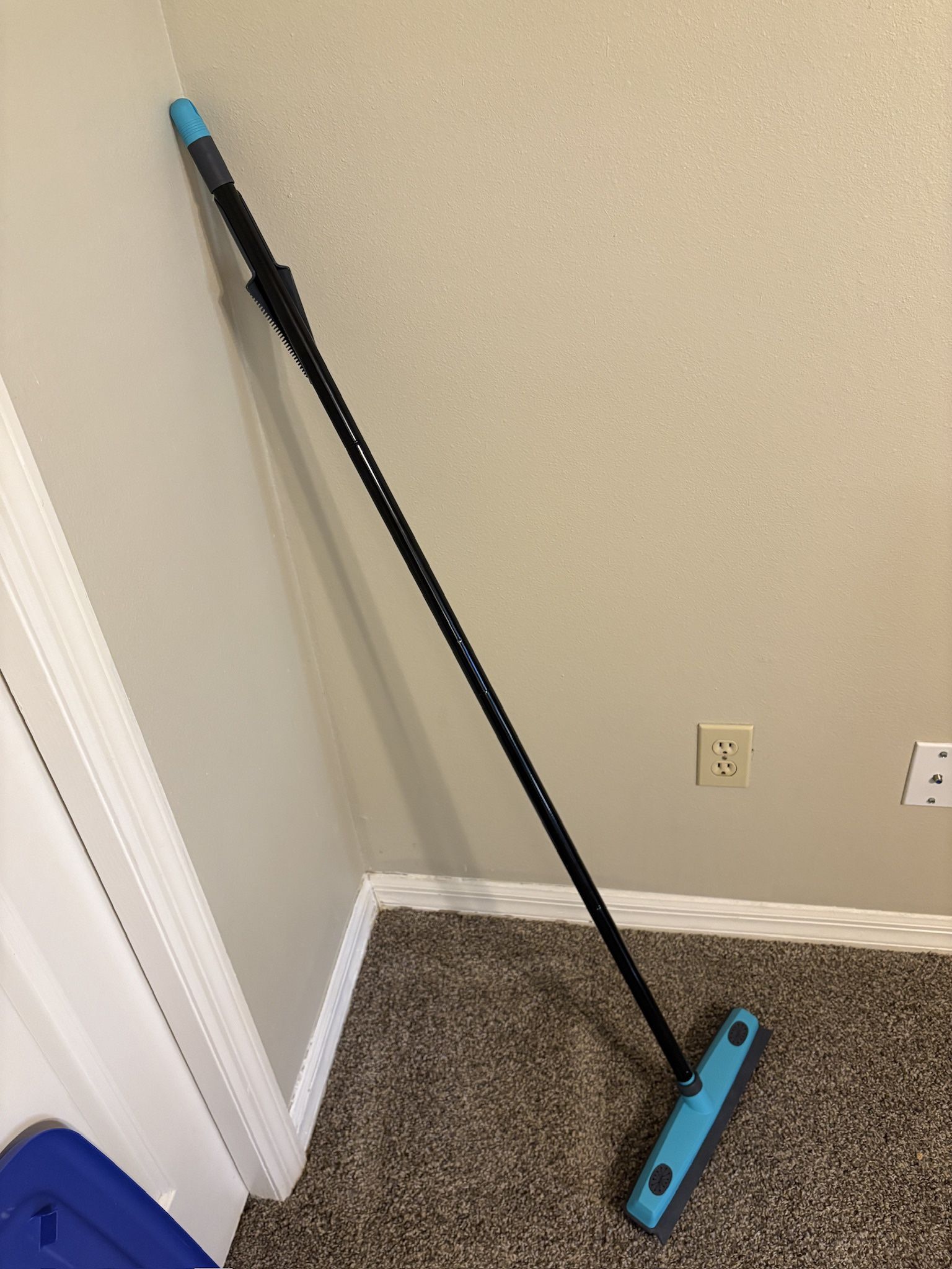 Carpet Rake