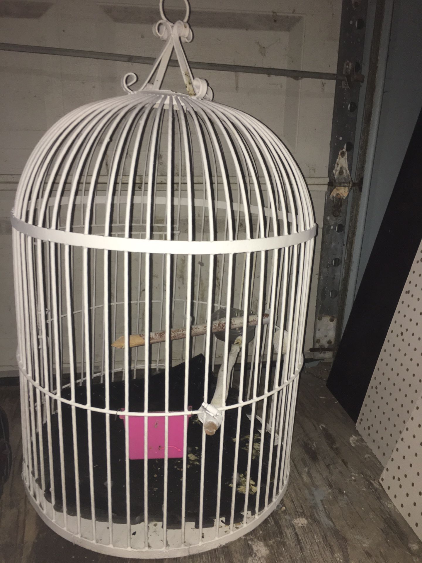 Parrot bird cage