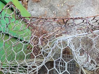 Crab Trap