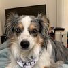 Tina