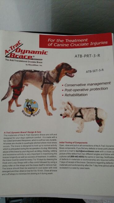 A-Trac Dynamic Brace