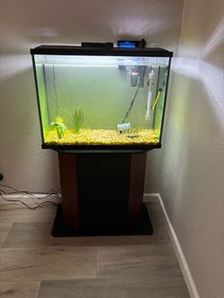 37 Gallon Aquarium