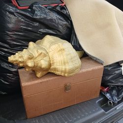 Shell For Table Decoration 