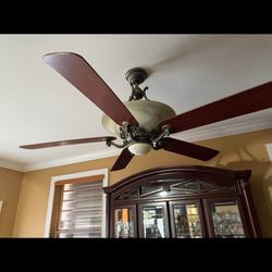 Fans (ventiladores)