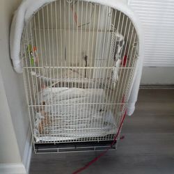 Bird Caged 