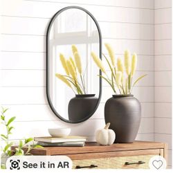 W#25 16" x 28" Metal Oval Pill Mirror Black - Project 62