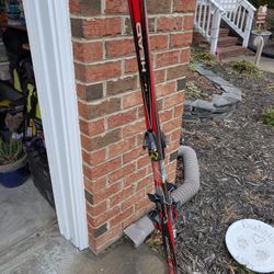 Free Skis