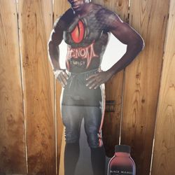 Terrel Owens Cardboard Standup