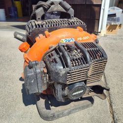 Echo Backpack Leaf Blower
