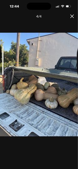 Calabazas para dulce.  Diferentes precios