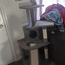 Cat house