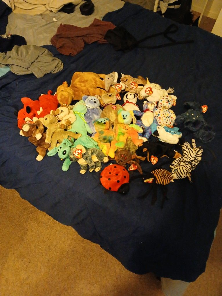 Beanie Babys