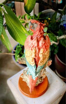Signed,  G Armani, scarlet Macaw statue!  Beautiful