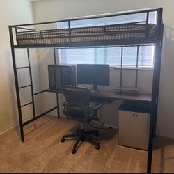 Twin Loft Bed New In Box
