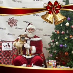 Santa Visit