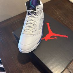 Jordan 5 Grape 2025  Size 12