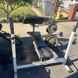 Olympic Weights, 7-ft Bar, Bench, Weight Holder Tree