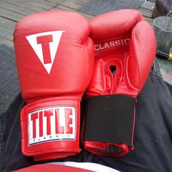 Title 14oz Boxing Gloves 