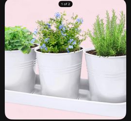 Small Pots for Plants, 3-Pack
