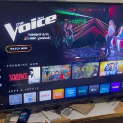 Vizio Smart TV 50"