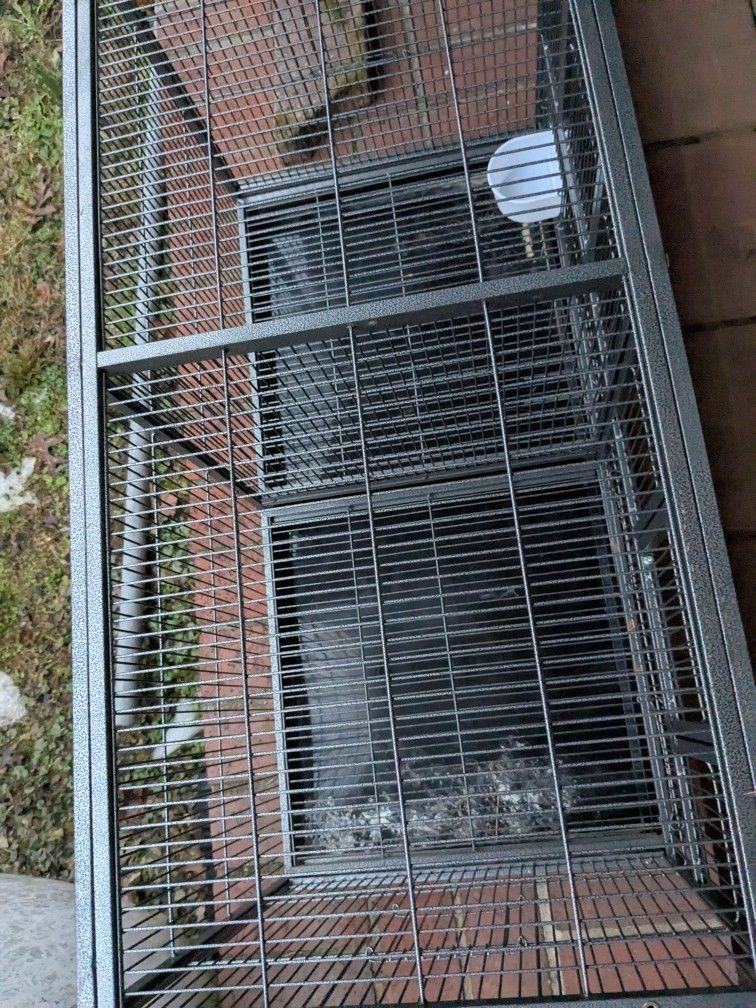 Bird Cage