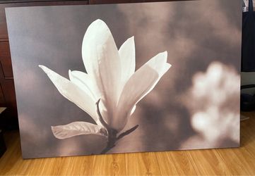 IKEA Canvas Picture