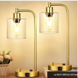 Set of 2 Industrial Table Lamps with USB Port, Gold Fully Stepless Dimmable Bedside Lamps for bedrooms, Nightstand Desk Lamp with Clear Glass Shade fo