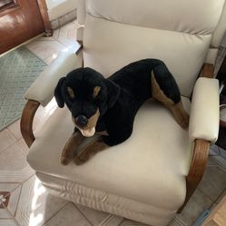 Adorable Black Doggie Measures  23”  