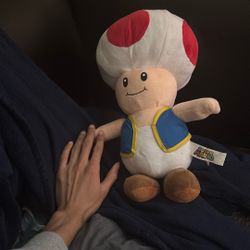 Toad Plushie (Mario Bros!)