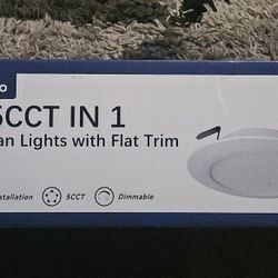 Amico 4 Inch Recesses Flat Lights