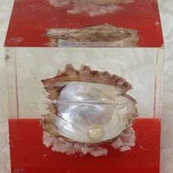 Vintage 1960s Oyster With Pearl Paperweight🔵Read Full Description Below🔵