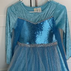 Elsa Costume Dress 