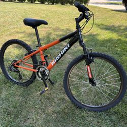 Nishiki 24 Mountain Bike 