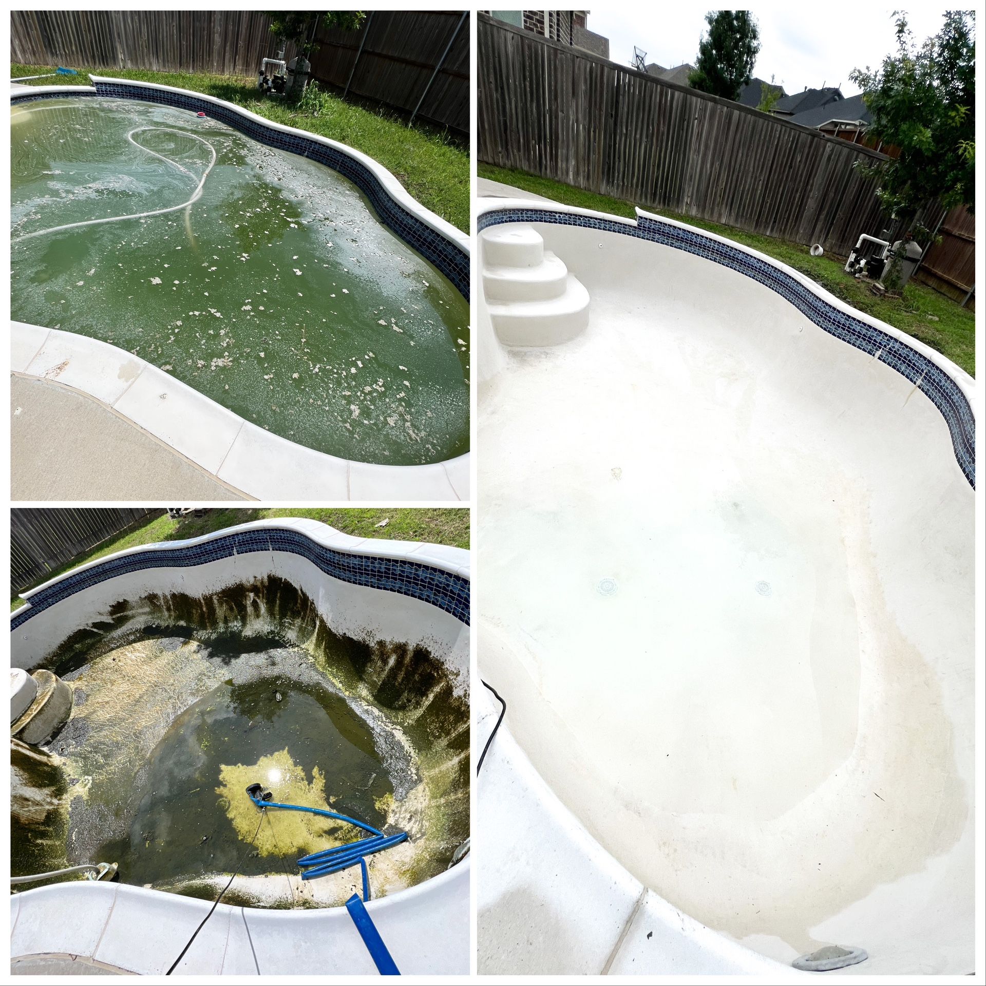 Pools Service / Green To Clean