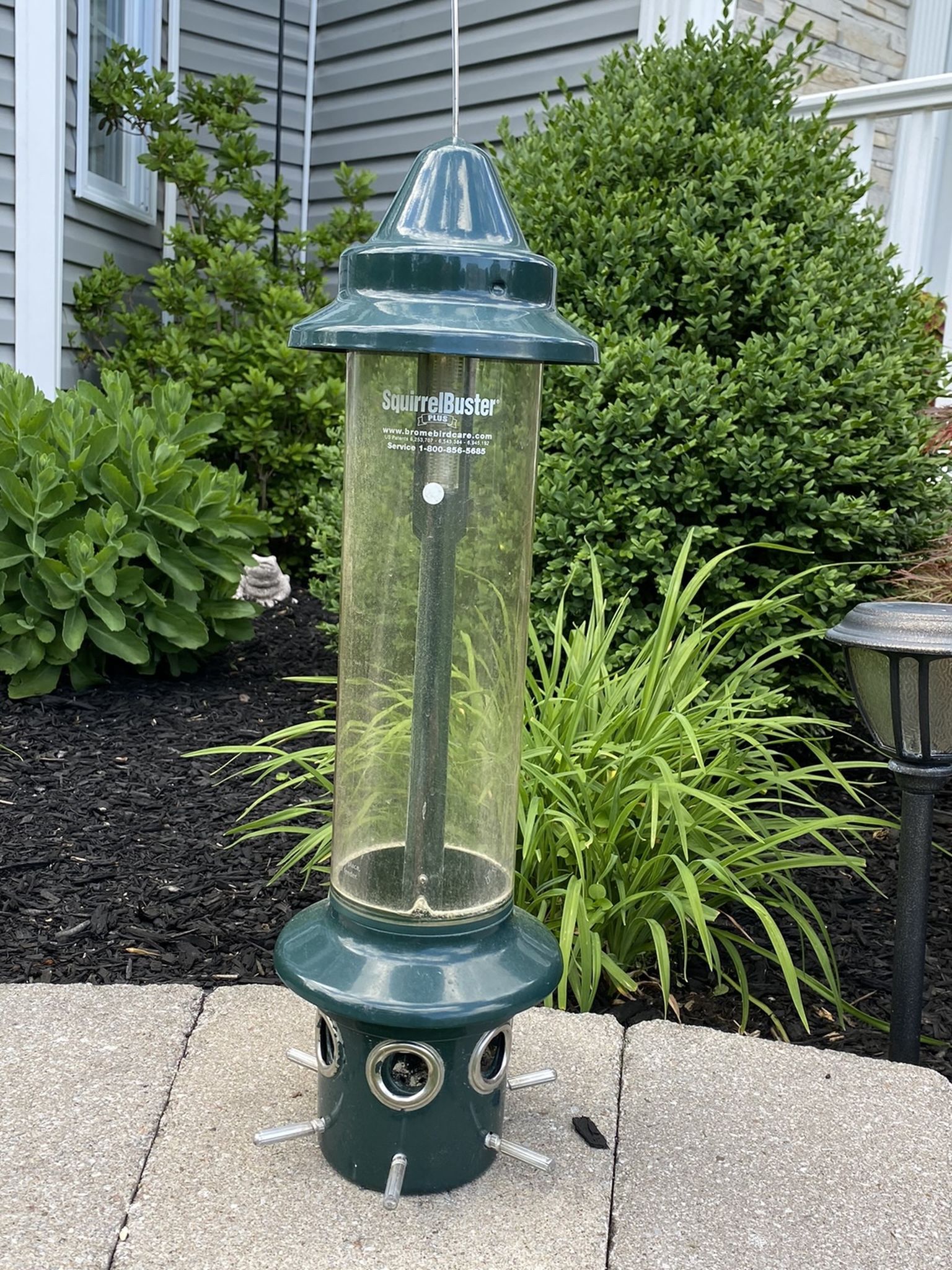 Squirrel Buster Plus Bird Feeder