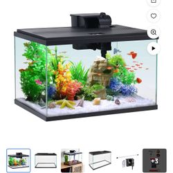Fish Tank 