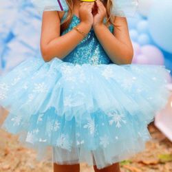 Frozen Elsa Girl Dress 