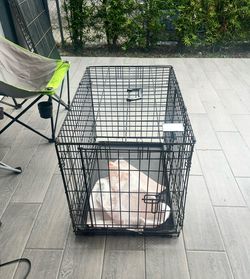 Dog Cage Coral Gables Area