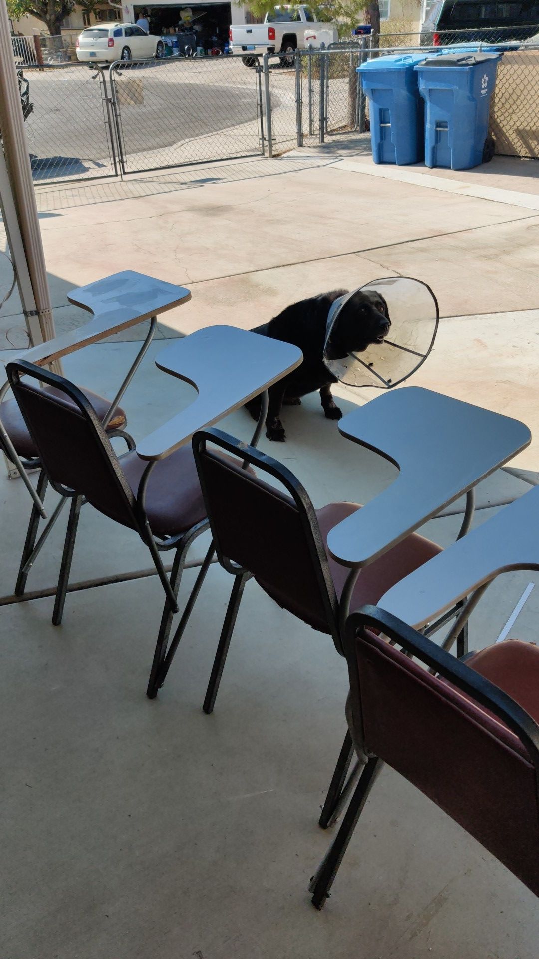 Repurposed school desk chairs