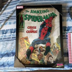 Spider-Man Wall Decor