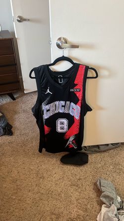Chicago Bulls #8 Jordan Brand NBA Jersey