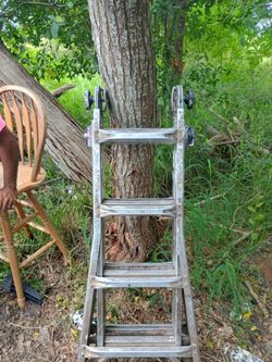 Extension Ladder Lightly Used Works Great