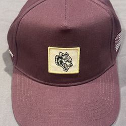 Darc sport Wolf, five patch hat. Color purple dusk.