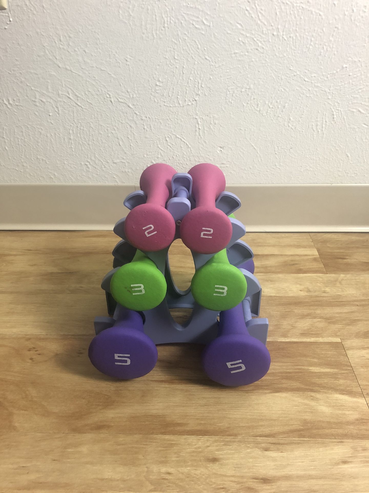 Dumbbell Set with Frame Rack