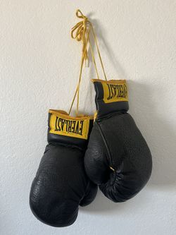 Everlast Vintage Boxing Gloves 14oz