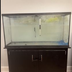 Fish Tank And Stand 