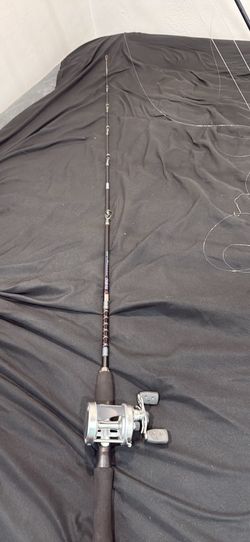 Brand New 6500 Ambassador Reel With Rod 