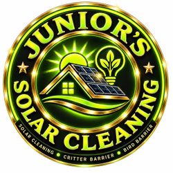 Juniors solar cleaning